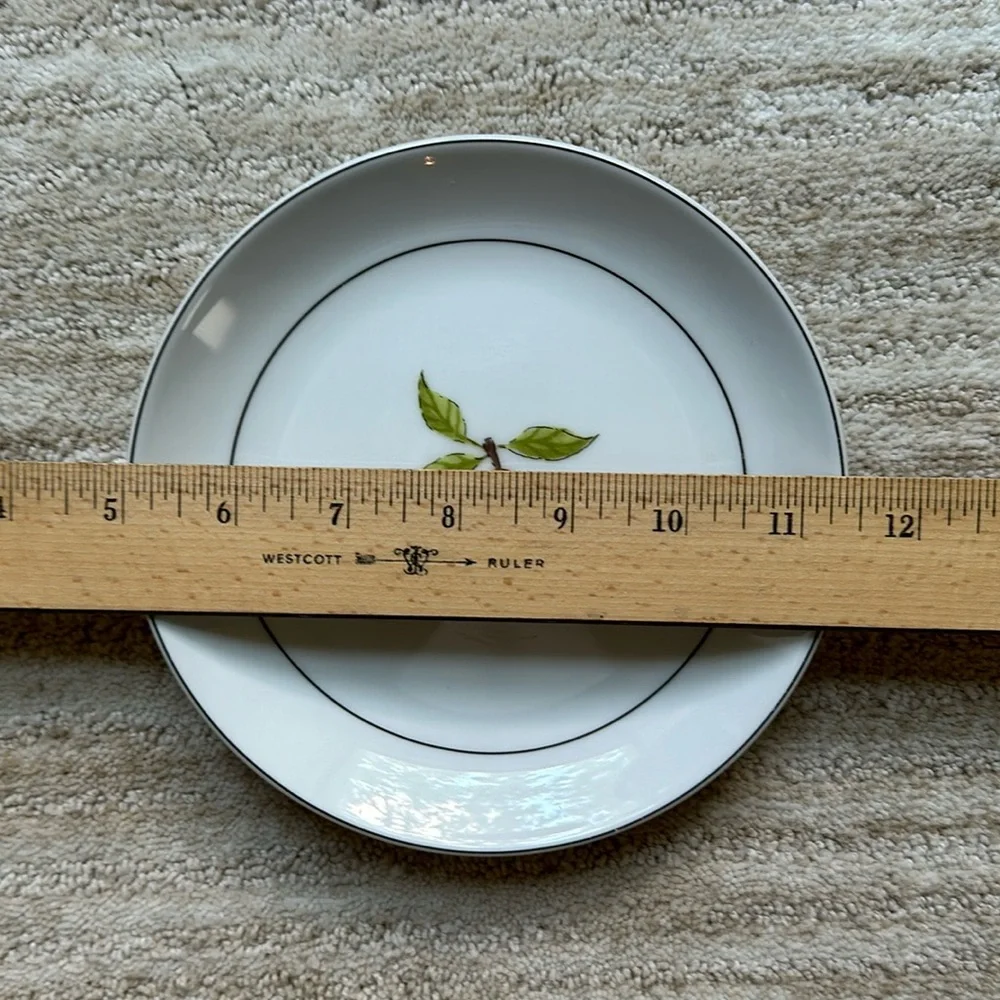 Set of 4 Crate&Barrel Nancy Green Fruit From age Appetizer Desert Plates